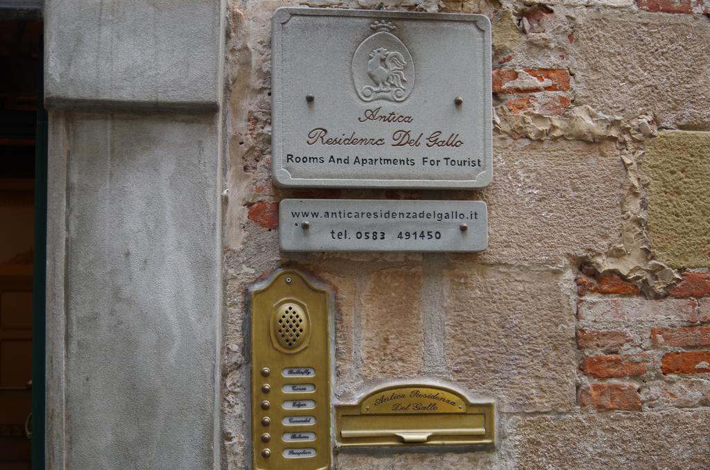 Antica Residenza Del Gallo Лука Екстериор снимка